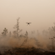 Image for article titled Photos: Inside the toxic haze, a “crime against humanity” caused by Indonesia’s fires